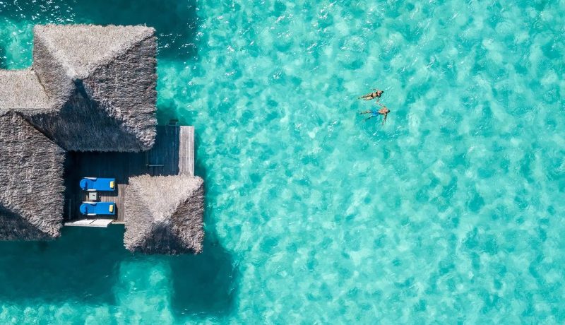 Submarinismo en las islas de la Sociedad y Rangiroa