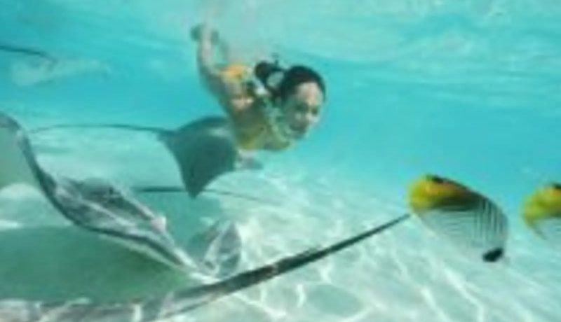 Submarinismo en las islas de la Sociedad y Rangiroa