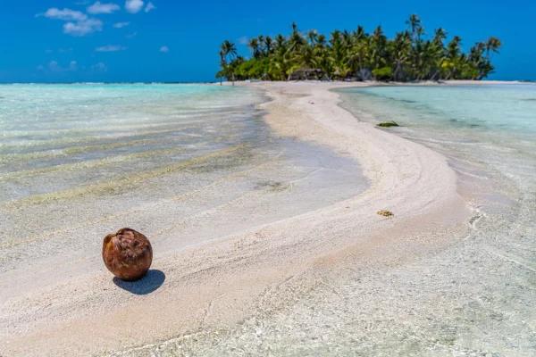 ¿Qué hacer en Rangiroa?