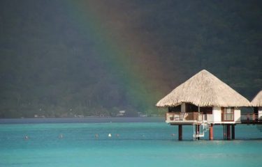 Homepage