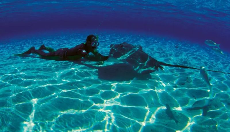 Islas de la Sociedad y Tikehau