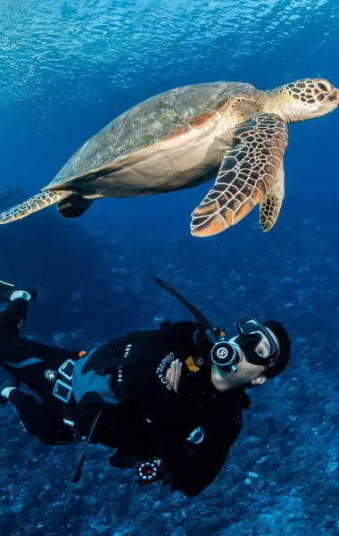 Plongée sous-marine à Fakarava © Frédérique Legrand
